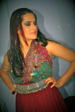 Sona Mohapatra at the Goa Fest 2014 on 30th May 2014